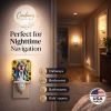 American English Coonhound 6007 In Sunflowers Ceramic Night Light