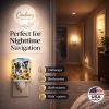 Australian Shepherd 6014 In Sunflowers Ceramic Night Light