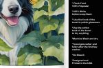 Border Collie 1 in Sunflowers Kitchen Towel