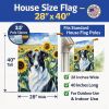 Borzoi 1 in Sunflowers House Flag