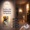 Boykin Spaniel 6039 In Sunflowers Ceramic Night Light