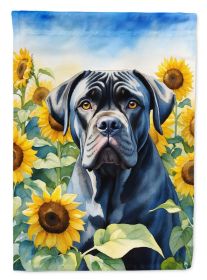 Cane Corso in Sunflowers House Flag