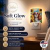 Cavalier King Charles Spaniel 6047 In Sunflowers Ceramic Night Light