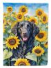 Curly-Coated Retriever in Sunflowers House Flag