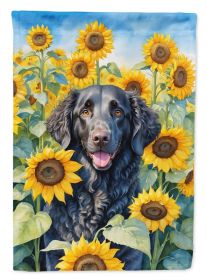 Curly-Coated Retriever in Sunflowers House Flag
