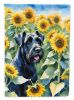 Giant Schnauzer in Sunflowers House Flag