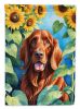 Irish Setter in Sunflowers House Flag