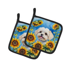 Maltese in Sunflowers Pair of Potholders