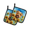 Norfolk Terrier in Sunflowers Pair of Potholders