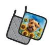 Norfolk Terrier in Sunflowers Pair of Potholders