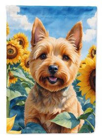 Norwich Terrier in Sunflowers House Flag