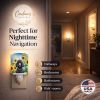 Poodle - Black - in Sunflowers Ceramic Nightlight