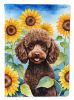 Poodle - Chocolate Puppy - in Sunflowers House Flag