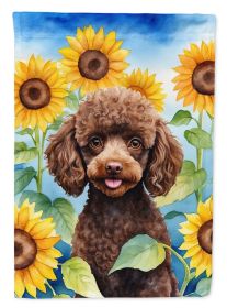 Poodle - Chocolate Puppy - in Sunflowers House Flag