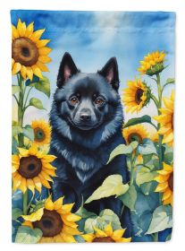 Schipperke in Sunflowers House Flag