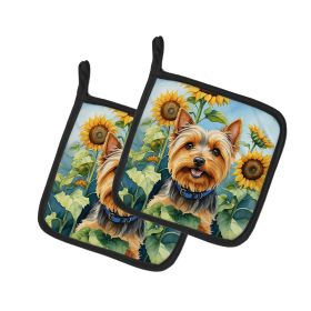 Silky Terrier in Sunflowers Pair of Potholders