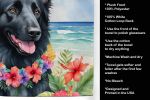 Belgian Sheepdog Luau Kitchen Towel