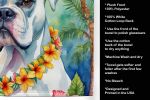 Boxer - White - 1 Luau Kitchen Towel