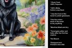 Belgian Sheepdog Spring Path Garden Kitchen Towel