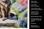 Belgian Tervuren Spring Path Garden Kitchen Towel