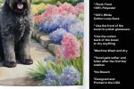 Bouvier des Flandres Spring Path Garden Kitchen Towel