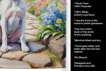 Boxer - White - Spring Path Garden Kitchen Towel