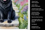 Newfoundland 1 Spring Path Garden Kitchen Towel