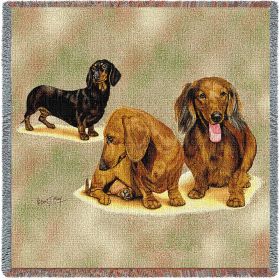 Dachshund Puppies - Lap Square Cotton Woven Throw