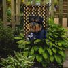 Brussels Griffon1 Style # 2 Candy Corn Halloween Garden Flag