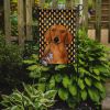 Dachshund #2 Candy Corn Halloween Garden