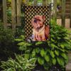 Brussels Griffon #2 Candy Corn Halloween Garden Flag