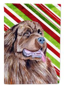 Newfoundland Candy Cane Christmas Garden Flag