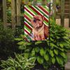 Brussels Griffon Candy Cane Christmas Garden Flag