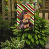 Dachshund #3 Candy Cane Christmas Garden Flag