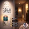 Affenpinscher "Sisters" Ceramic Nightlight