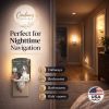 Basset Hound Teacher's Pet Ceramic Nightlight