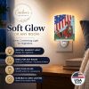 Basset Hound USA Ceramic Nightlight