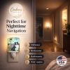Border Collie "Crossing" Ceramic Nightlight