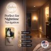 Border Collie Simplicity Ceramic Nightlight