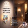 Boston Terrier Beach Baby Ceramic Nightlight