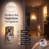 Boston Terrier Patio Gems Ceramic Nightlight