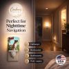 Boxer "Got Mail" Ceramic Nightlight