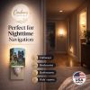 Cairn Terrier "Donation" Ceramic Nightlight