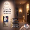 Coton du Tulear "Royalty" Ceramic Nightlight