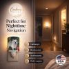 Norwich Terrier "Apple Grove" Ceramic Nightlight