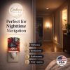 Scottish Terrier/Scottie "Lil Einstein" Ceramic Nightlight