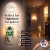 West Highland White Terrier/Westie "St Patrick's Day Leprechaun" Ceramic Nightlight