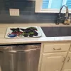 Scottish Terrier Christmas Elves Art Dish Drying Mat