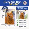 Norwich Terrier 1 House Flag