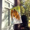 Papillon 1 House Flag